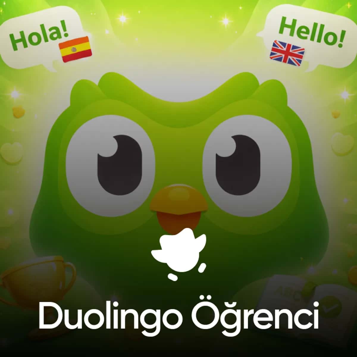 Duolingo Öğrenci Hesabı - Öğrenim İçeriği