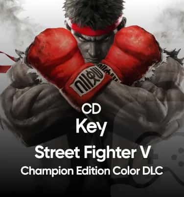 Sony Street Fighter V - Champion Edition Special Color DLC EU PS4 CD Key