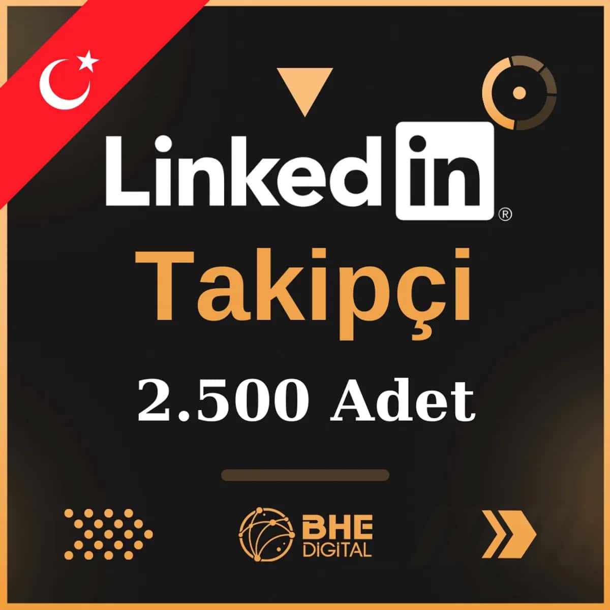 2.500 Adet Türk  Takipçi Linkedin
